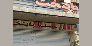 سینما فستیوال